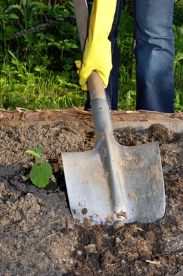 2308146_ Veer_Garden Shovel