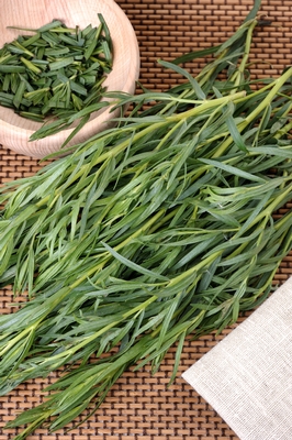 1749627_Veer_Tarragon