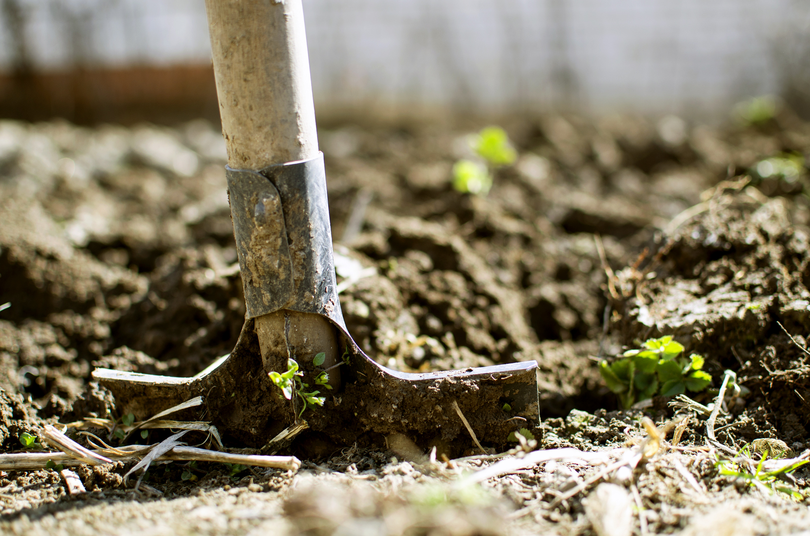Prepare Clay Soil for Spring Planting - SmartGardener Blog