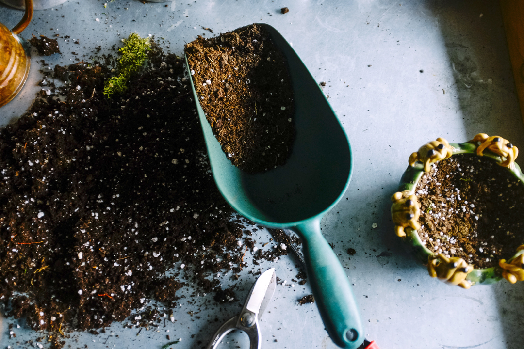 Image: soil mix with scoop. Photo source: Neslihan Gunaydin, Unsplash