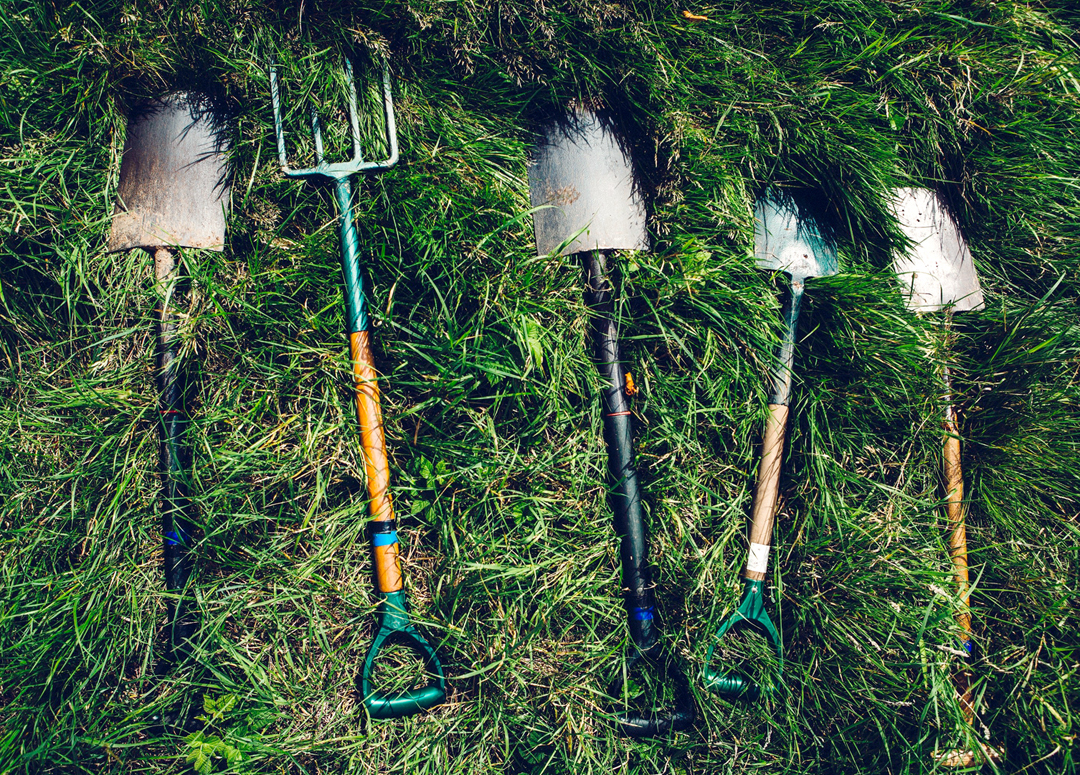 Image: selection of shovels and a pitchfork in grass. Photo source: Dylan Nolte, Unsplash