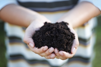 Image of a person holding their two hands out filled with dark, rich soil.