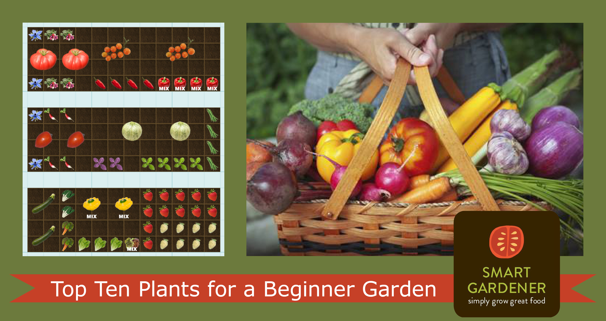 Top Ten Plants for a Beginner Garden