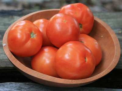 Top Ten Plants for a Beginner Garden: Tomatoes