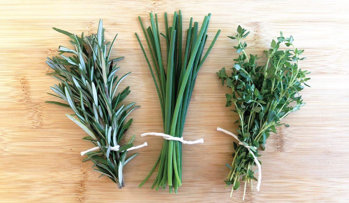 Five herbs perfect for indoor growing