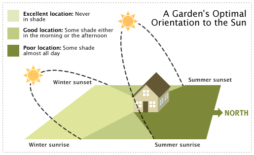 Where to Put the Vegetable Garden