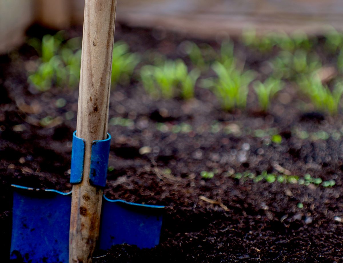 Prepare Clay Soil for Spring Planting