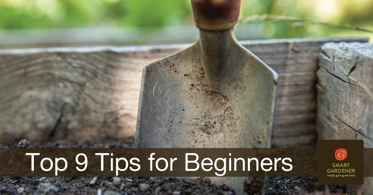 Top 9 tips for beginner gardeners