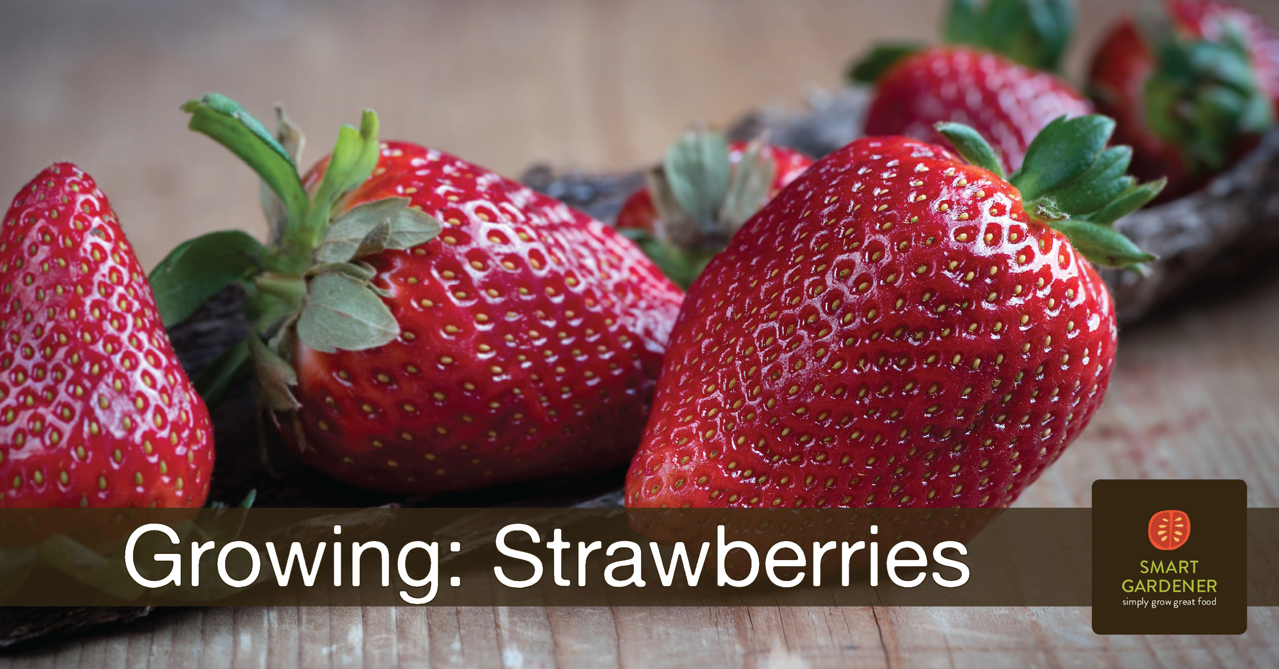 https://blog.smartgardener.com/wp-content/uploads/2019/05/Strawberries-FB.jpg