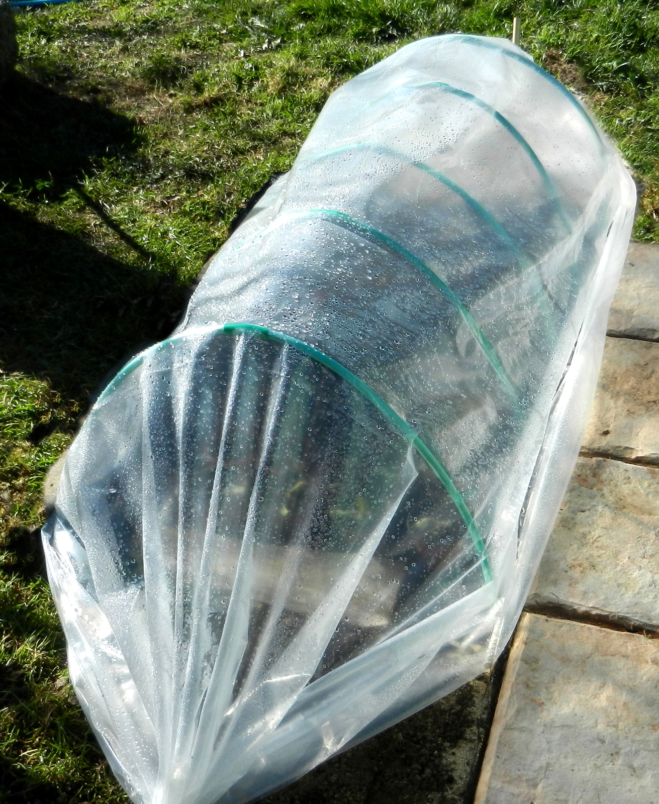 Extending Your Summer Garden image garden bed with a plastic row cover