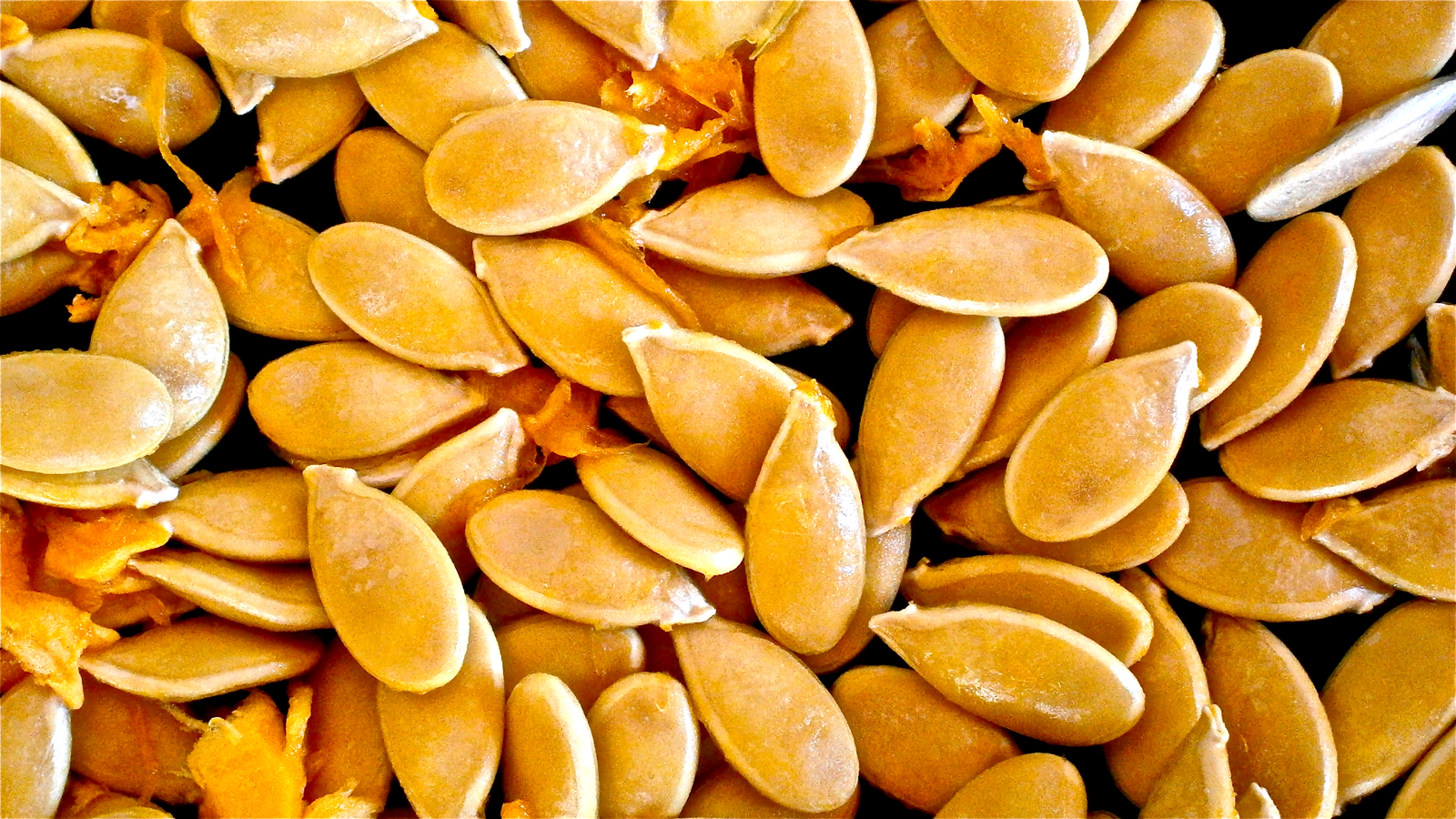 seed saving getting something for nothing image of pumpkin seeds