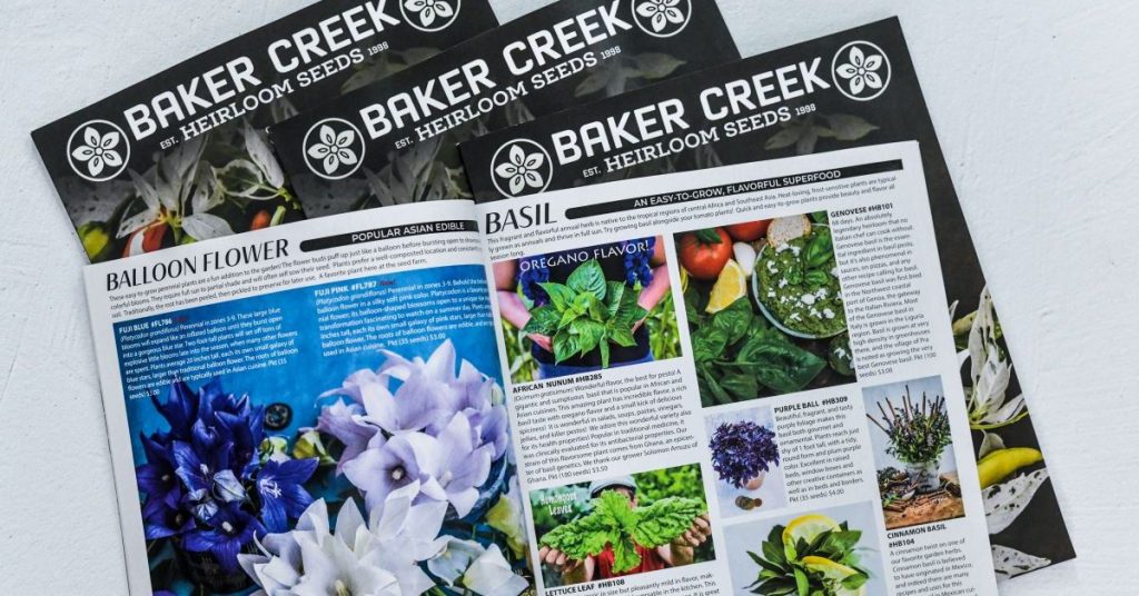 copies of the Baker Creek heirloom seeds catalogs, three closed and one open showing the layout of plants and text