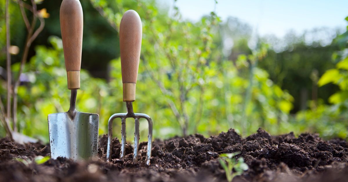 How to Save Money Gardening