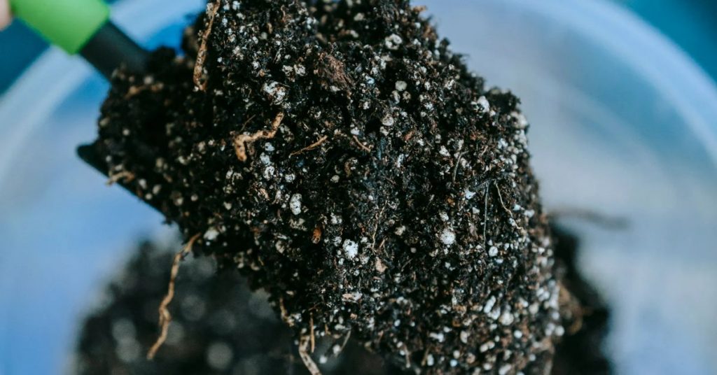 close up of potting soil with vermiculite and compost