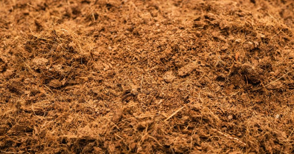 close up of coconut coir used as an ingredient in potting soil